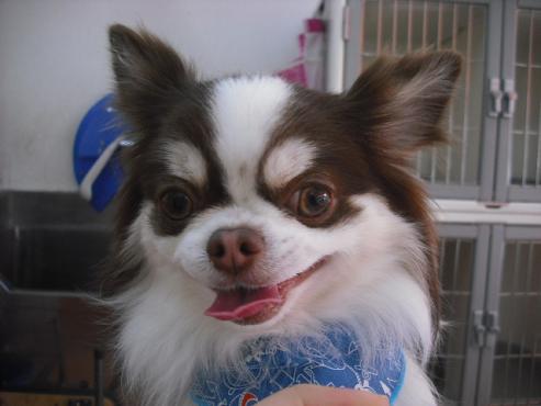 ファイル 2986-1.jpg