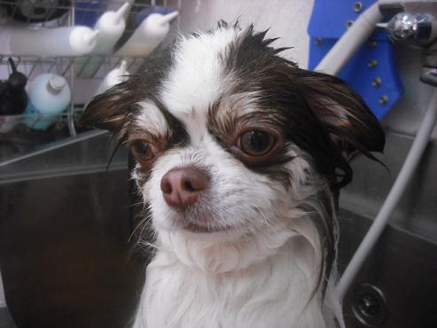 ファイル 2986-2.jpg