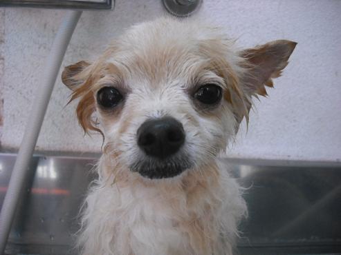 ファイル 2987-2.jpg