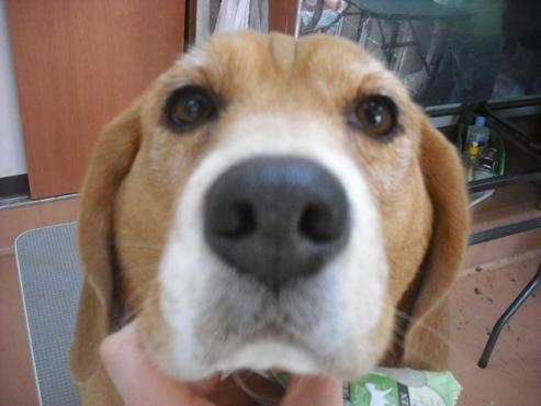 ファイル 2988-1.jpg