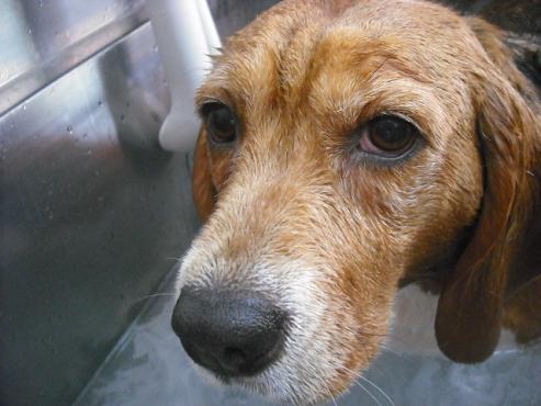 ファイル 2988-2.jpg