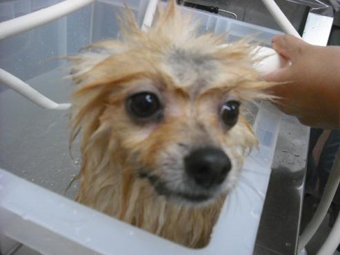 ファイル 299-2.jpg