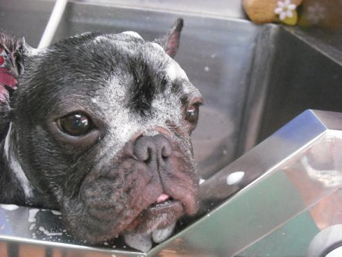 ファイル 2990-2.jpg