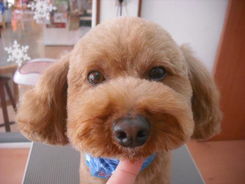 ファイル 2991-1.jpg