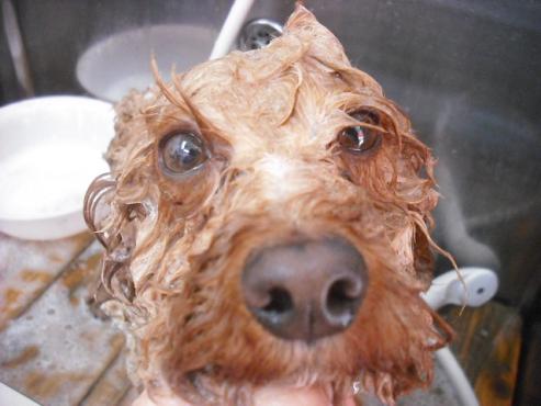 ファイル 2991-2.jpg