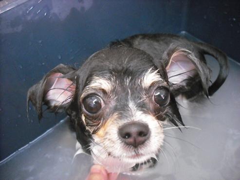 ファイル 2992-2.jpg