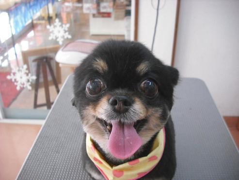 ファイル 2993-1.jpg