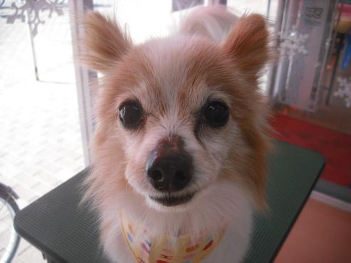 ファイル 2995-1.jpg