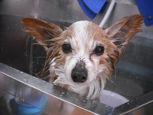 ファイル 2995-2.jpg