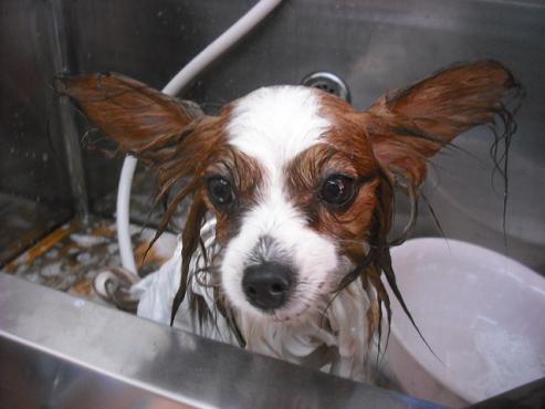 ファイル 2996-2.jpg