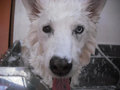 ファイル 2997-2.jpg