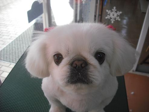 ファイル 2998-1.jpg