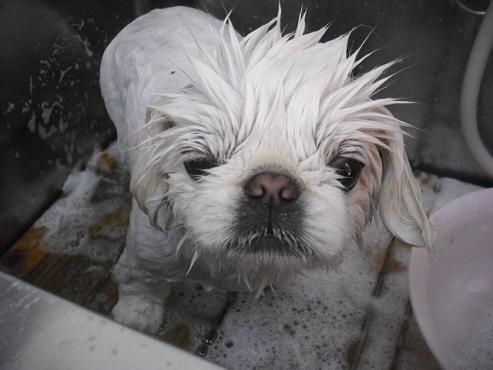 ファイル 2998-2.jpg