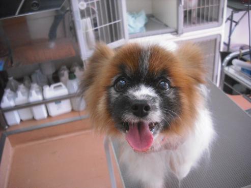 ファイル 2999-1.jpg