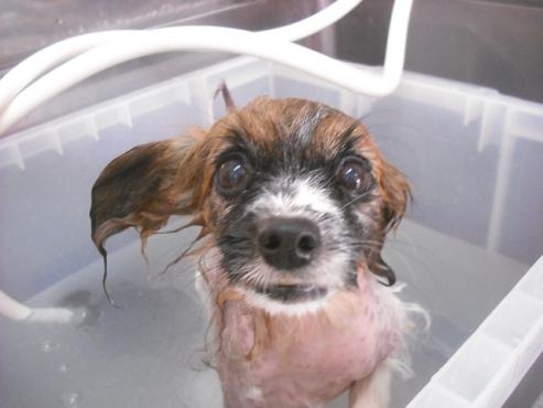 ファイル 2999-2.jpg