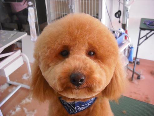 ファイル 3-1.jpg