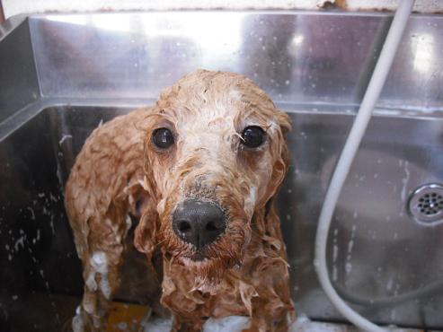 ファイル 3-2.jpg