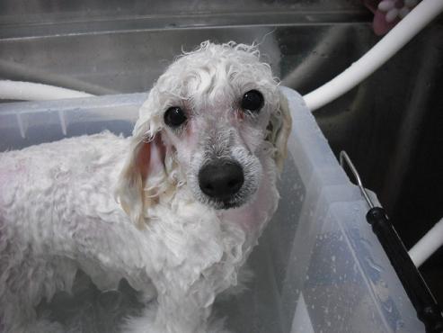 ファイル 30-2.jpg