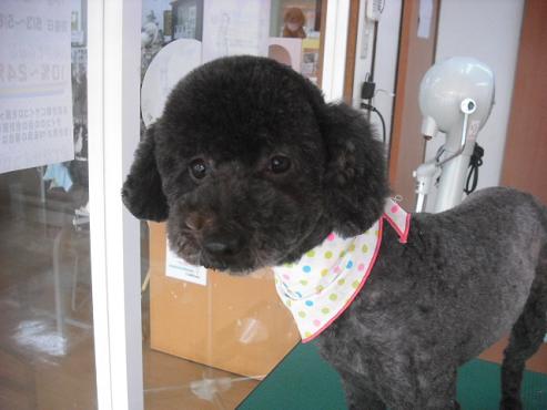 ファイル 300-1.jpg