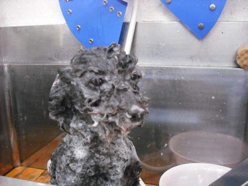 ファイル 300-2.jpg