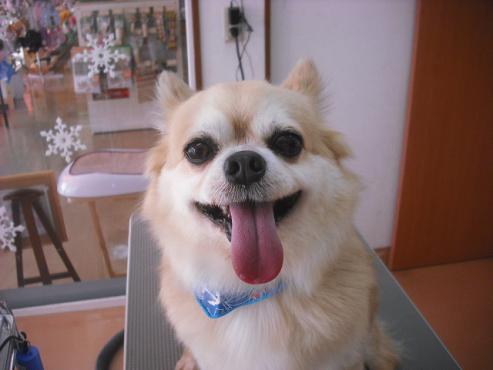 ファイル 3000-1.jpg