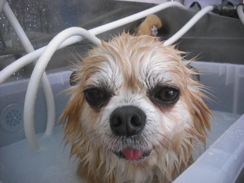 ファイル 3000-2.jpg