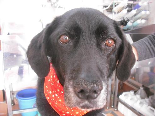 ファイル 3001-1.jpg