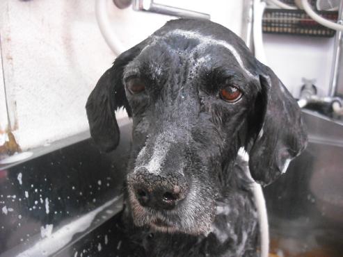 ファイル 3001-2.jpg