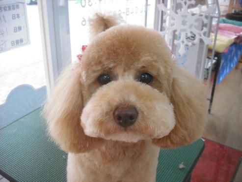 ファイル 3002-1.jpg