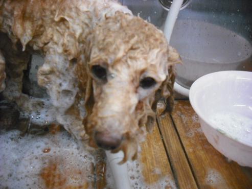 ファイル 3002-2.jpg