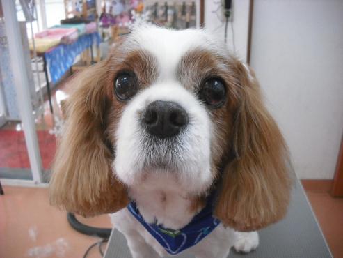 ファイル 3003-1.jpg