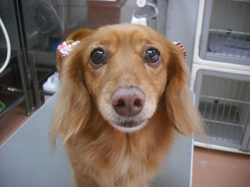 ファイル 3004-1.jpg