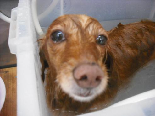 ファイル 3004-2.jpg