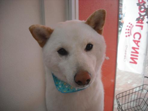 ファイル 3005-1.jpg