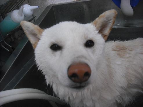 ファイル 3005-2.jpg