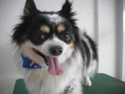 ファイル 3006-1.jpg