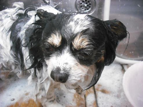 ファイル 3006-2.jpg