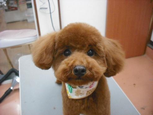 ファイル 3007-1.jpg