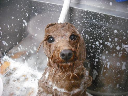 ファイル 3007-2.jpg