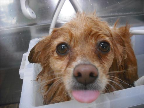 ファイル 3009-2.jpg