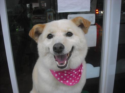 ファイル 301-1.jpg