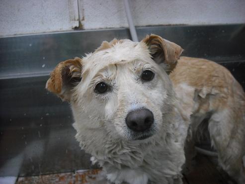 ファイル 301-2.jpg