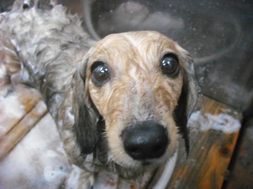 ファイル 3010-2.jpg