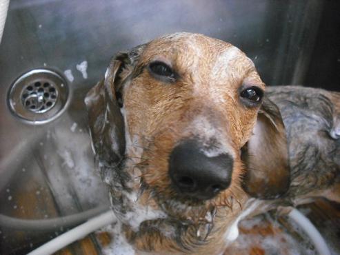 ファイル 3011-2.jpg