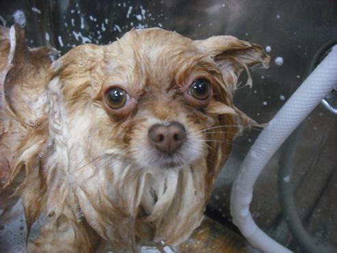 ファイル 3012-2.jpg