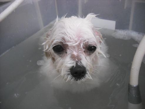 ファイル 3013-2.jpg