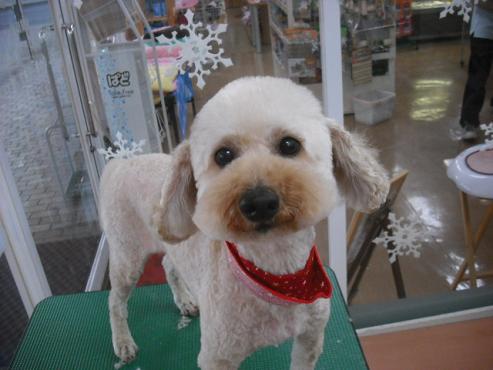 ファイル 3014-1.jpg