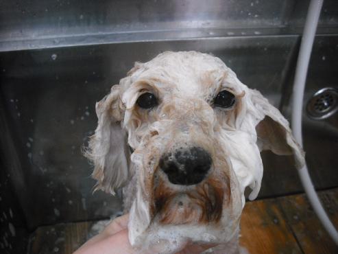 ファイル 3014-2.jpg