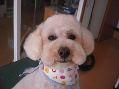 ファイル 3015-1.jpg