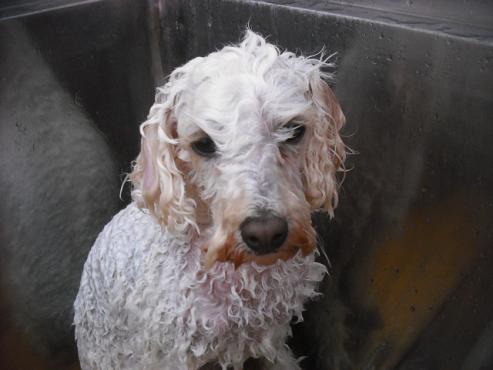 ファイル 3015-2.jpg